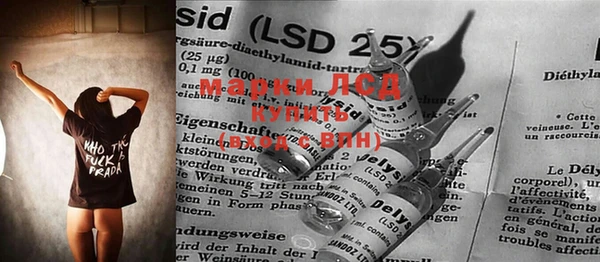 ГАЛЛЮЦИНОГЕННЫЕ ГРИБЫ Алексеевка