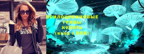 прущая мука Алзамай