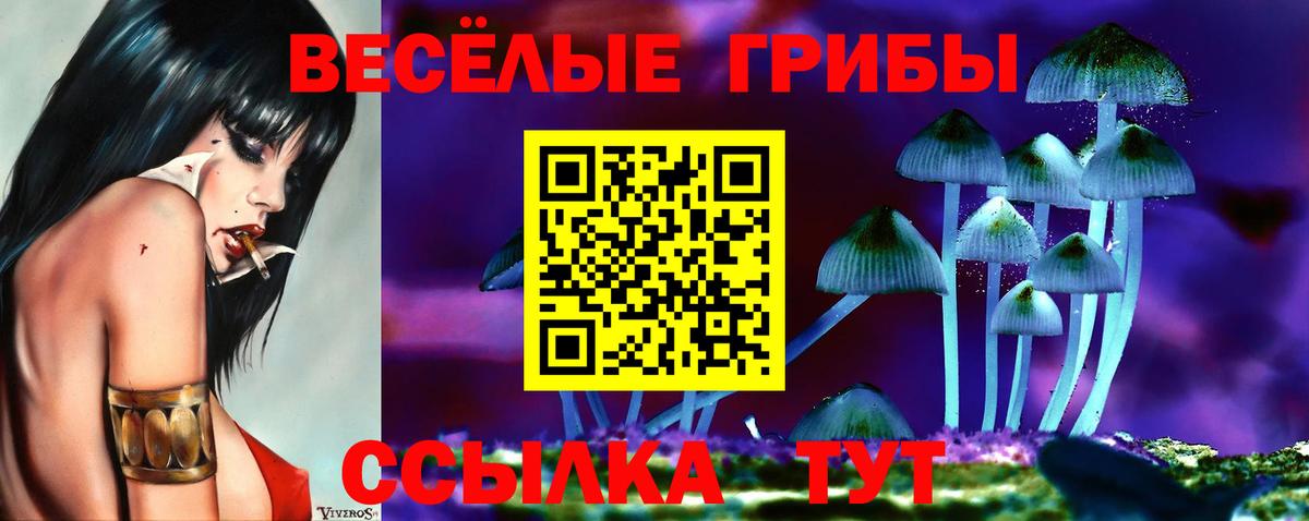 купить закладку  Вход с VPN  Карпинск  Псилоцибиновые грибы GOLDEN TEACHER 