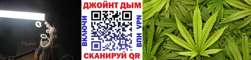 Канабис сатива Карпинск